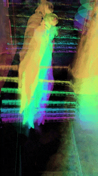 Cat Rainbow GIF by Mollie_serena