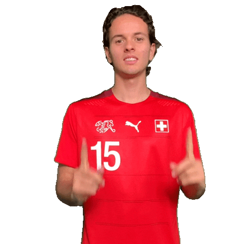 Switzerland Swipe Up Sticker by Swiss Football Association