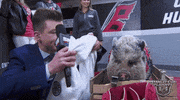 ice hockey sport GIF by NHL
