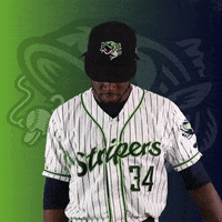 GoStripers look up gwinnett stripers toussaint GIF