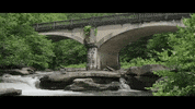 georgia GIF