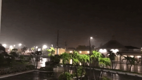 Tropical Storm Hurricane GIF by Storyful