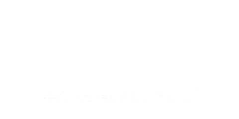 Chef Piatti Sticker by mainardibakery