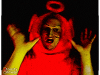 Hands Up Wtf GIF