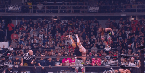 The Elite Wrestling GIF by AEWonTV