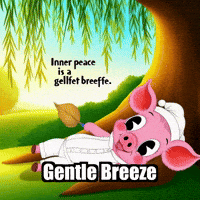 Peace Wisdom GIF by The Pigasso