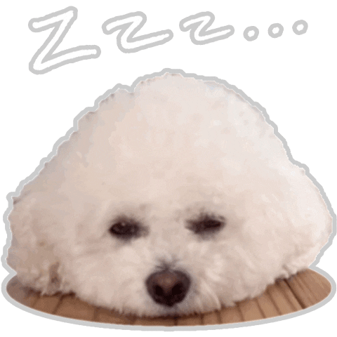 xatsuko_olivex dog sleepy bichon bichon frise Sticker