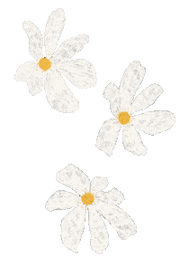 amymariah flower flowers daisy groovy Sticker