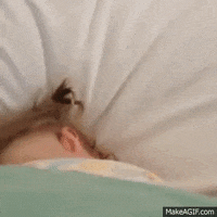 baby girl GIF