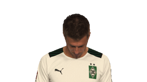 Happy Borussia Moenchengladbach Sticker by Bundesliga