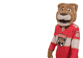 Disappointed Ice Hockey Sticker by NHL