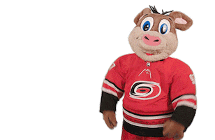 Sad Ice Hockey Sticker by NHL