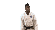 France Sport Sticker by Paris Saint-Germain Judo