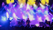 Zz Top Singer GIF by BeachLife