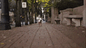 Golden Retriever Dog GIF