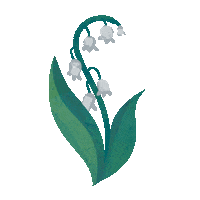 Lily Of The Valley Flower Sticker by zandraart