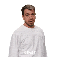 Serious Thinking Sticker by SWR3