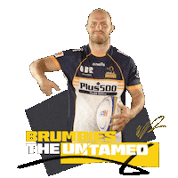 Mccaffrey Sticker by BrumbiesRugby