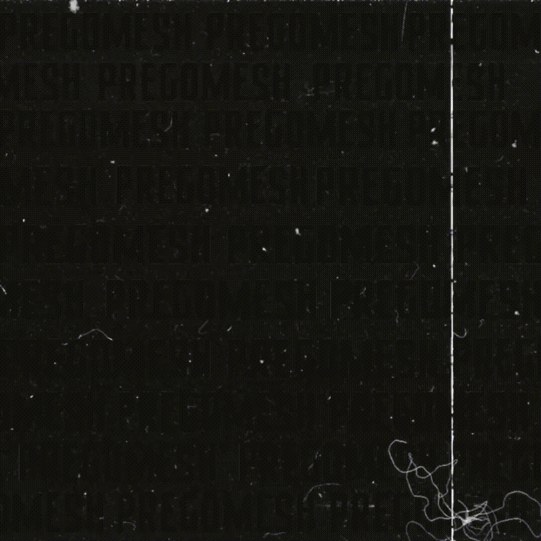 animanukyana688 giphyupload GIF