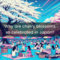 Cherry Blossoms Japan GIF by ExplainingWhy.com