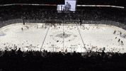 American Hockey League Sport GIF by Ontario Reign