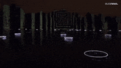 Festival Of Lights GIF by euronews