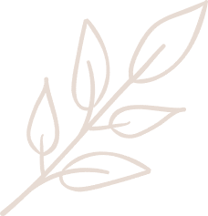 Miloomi giphyupload leaf lisc miloomipl Sticker