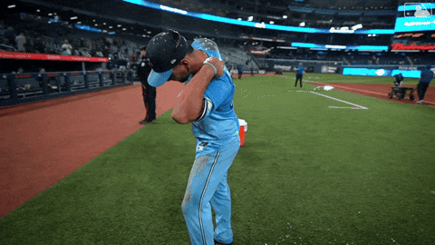 Blue Jays Baseball GIF by Toronto Blue Jays