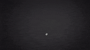 canada newspaper GIF by South Park 