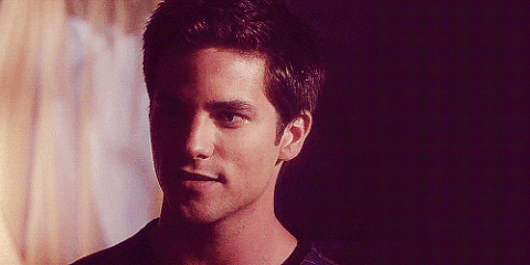 wren kingston GIF