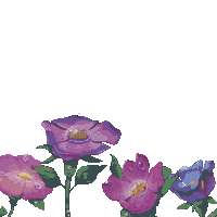 Flowers Honey Sticker by Apivita
