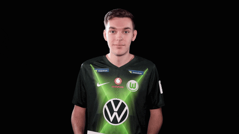 E Sports Sport GIF by VfL Wolfsburg