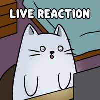 White Cat Wide Eyes GIF by MESA My Emotional Support Animal