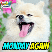 Happy Monday GIF by Lucas and Friends by RV AppStudios