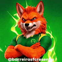 Barreirasfcresenha GIF