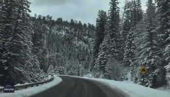Snowstorm Transforms Northern New Mexico Into a Winter Wonderland