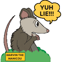 Drama Wow Sticker by Marvin The Manicou