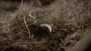 makeout GIF by Aftermath TV