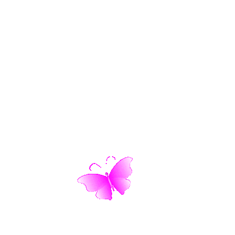 Butterfly Sticker