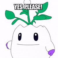 If You Insist Yes Please GIF by Magic Eden
