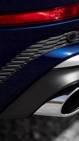 audichile  GIF