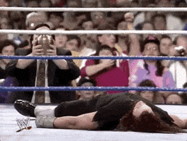 the undertaker wrestling GIF by WWE