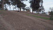 fall fail GIF by KING OF THE ROAD