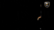 Duck Floorball GIF by F-liiga