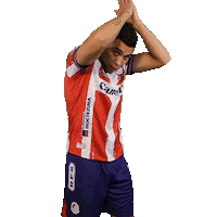 Adsl Tibu Sticker by Atlético de San Luis