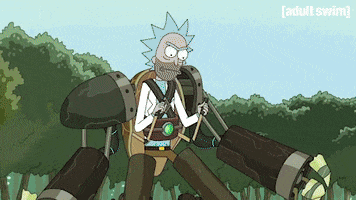 Season 2 Episode 6 GIF by Rick and Morty
