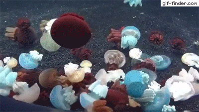 GifsWorldOfficial giphyupload GIF