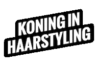 Skills Heroes Sticker by Koning Willem I College