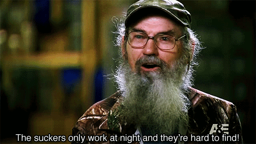 duck dynasty GIF