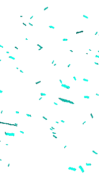 Carnaval Confetti Sticker by B on Stage